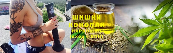 крисы Армянск