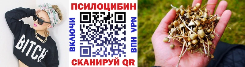где найти наркотики  Саки  Псилоцибиновые грибы мицелий 